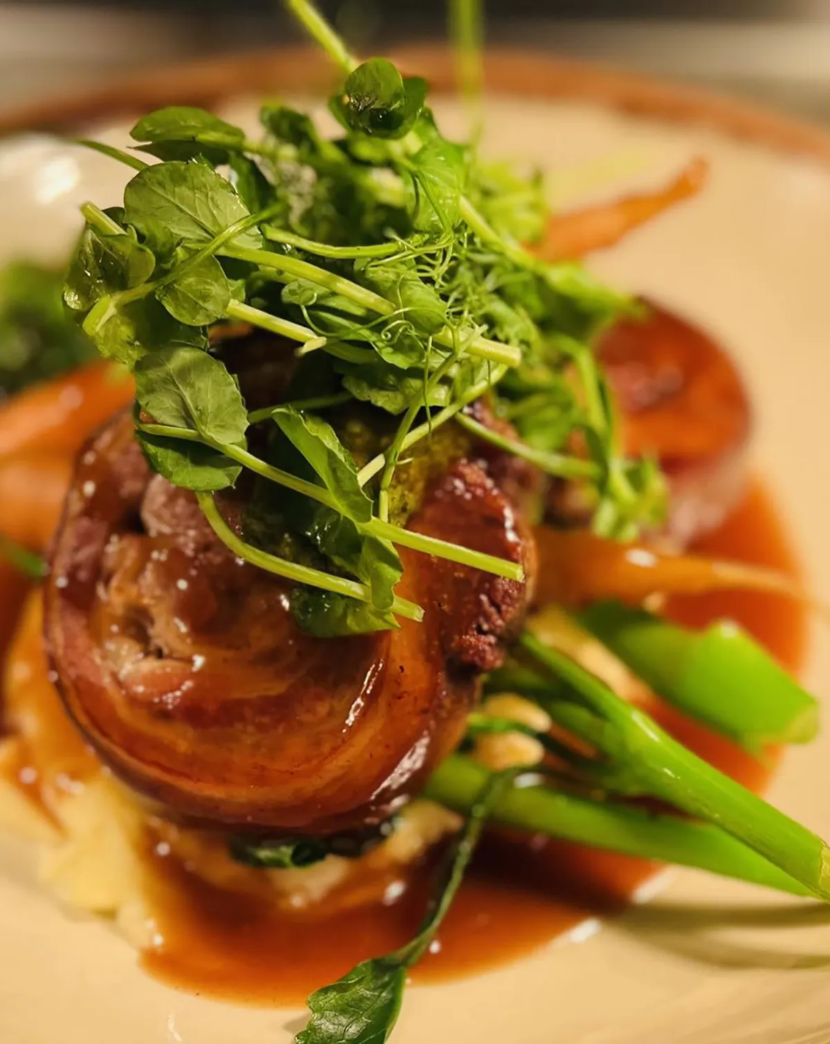 Stuffed Meat Roll With Veggies